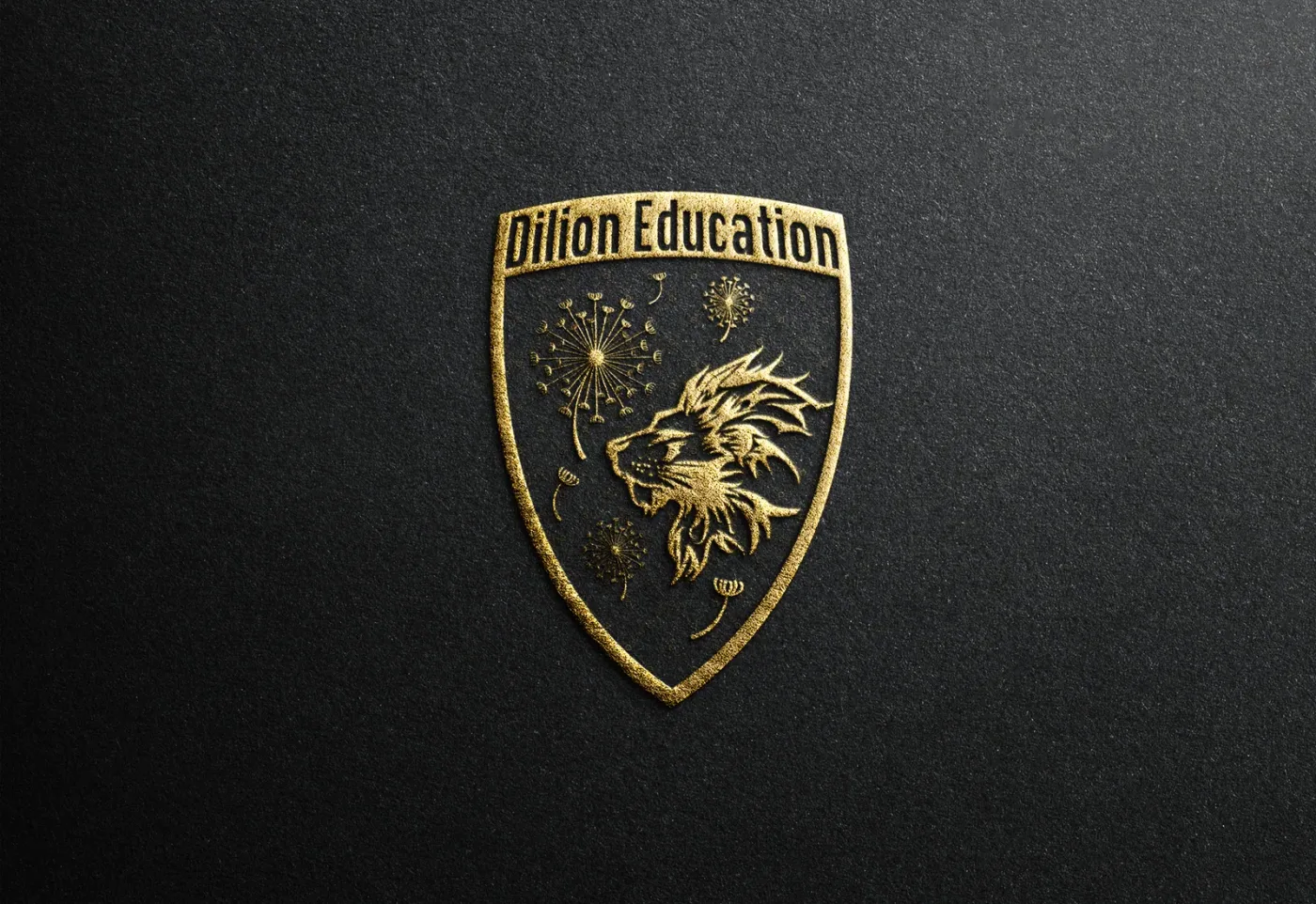 ตัวอย่างการใช้งาน Dilion Education
