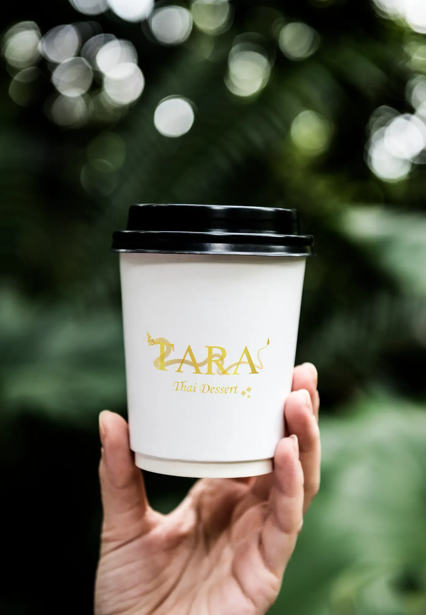 Application of the TARA Thai Dessert brand identity